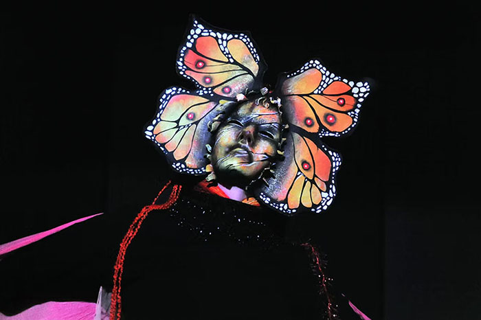 Butterfly / Birth of Imaginal Cells