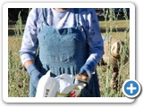 e_potato_harvest_20080830_084508