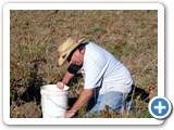 e_potato_harvest_20080830_084603