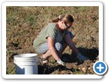 e_potato_harvest_20080830_085056