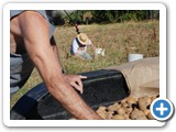 f_potato_harvest_20080830_084829