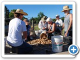 f_potato_harvest_20080830_090534