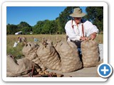 f_potato_harvest_20080830_090717