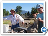 f_potato_harvest_20080830_095005