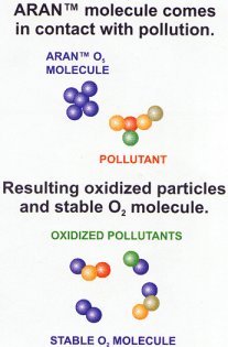 Aran molecules